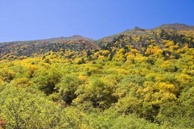HuangLong06