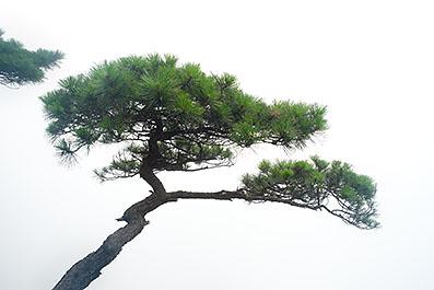 HuangShan08