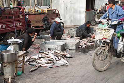 JiaYuGuan02