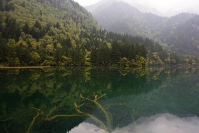 JiuZhaiGou20