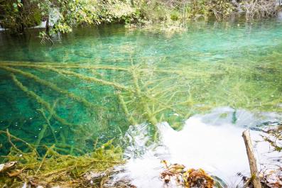 JiuZhaiGou25