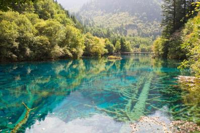 JiuZhaiGou29