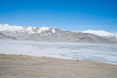 Kashgar035