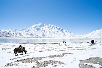 Kashgar042