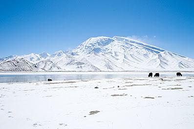 Kashgar048