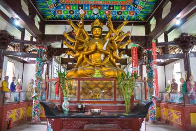 LeShan16
