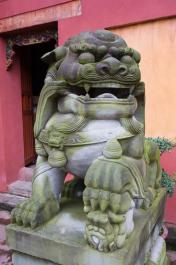 LeShan17