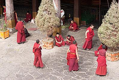 Lhasa66