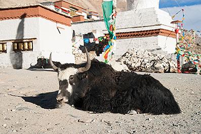 MtEverest12