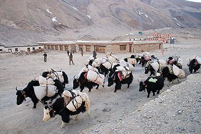 MtEverest16