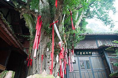 QingChengShan04