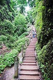 QingChengShan08