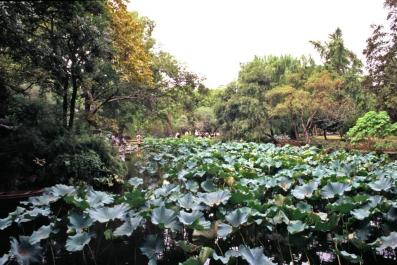 SuZhou02