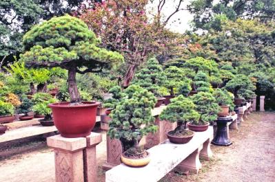 SuZhou08