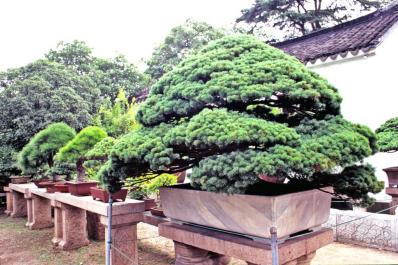 SuZhou09