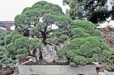 SuZhou10
