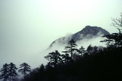 TaiShan05