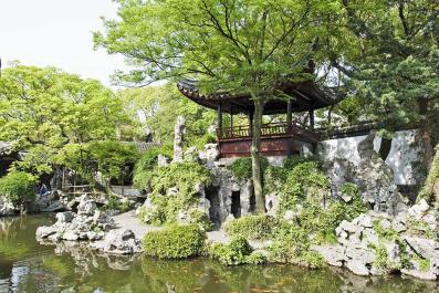 TongLi11