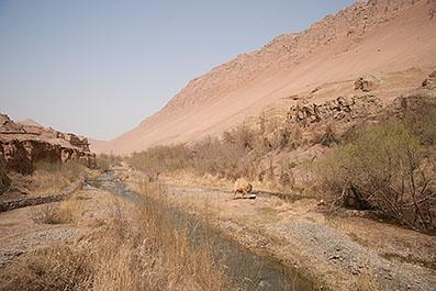 Turpan05