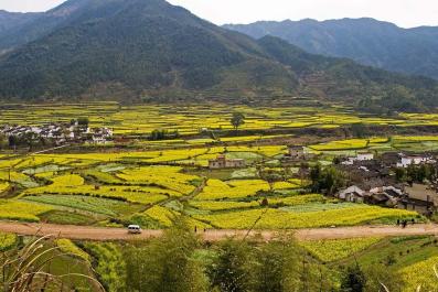 WuYuan01