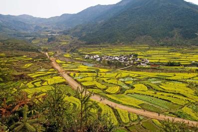 WuYuan02