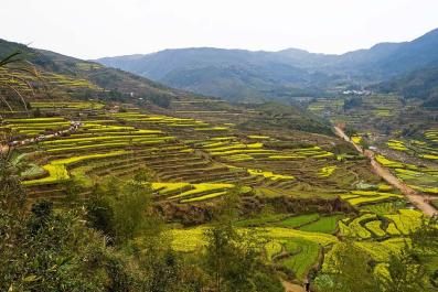 WuYuan03