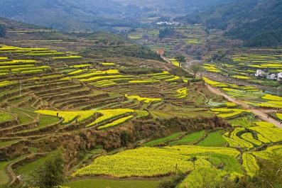 WuYuan04