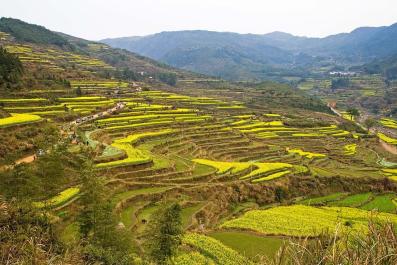 WuYuan05