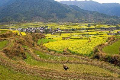 WuYuan07