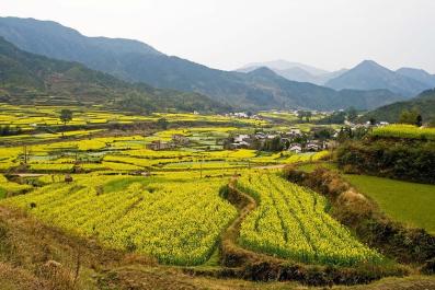WuYuan08