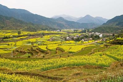 WuYuan09