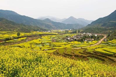 WuYuan10