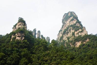 ZhangJiaJie06