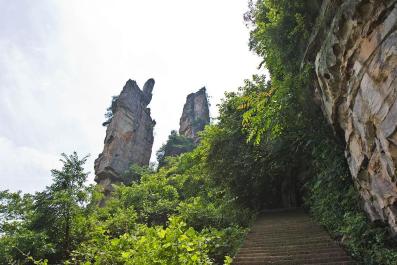 ZhangJiaJie10