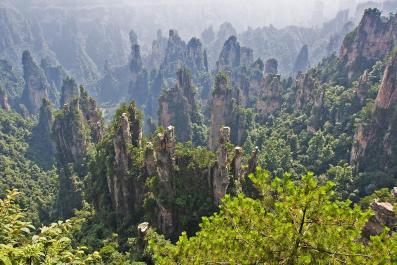ZhangJiaJie12