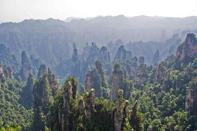 ZhangJiaJie13