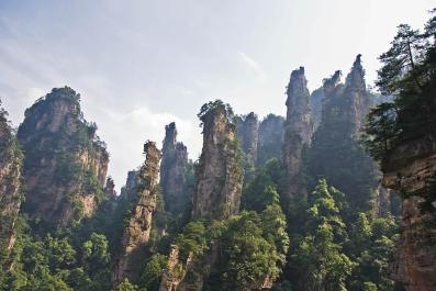 ZhangJiaJie14