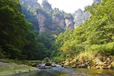 ZhangJiaJie15