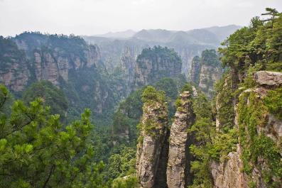 ZhangJiaJie17