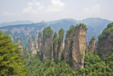 ZhangJiaJie18