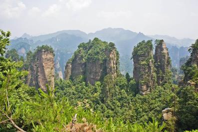 ZhangJiaJie19