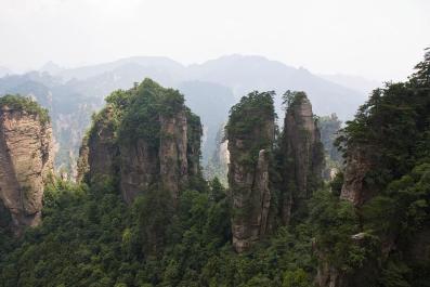 ZhangJiaJie24