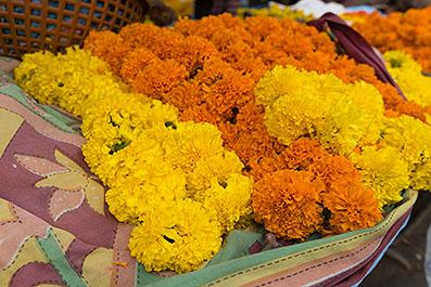 Ahmedabad18