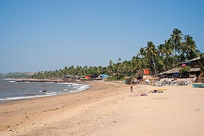 Goa23