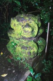 Bali04
