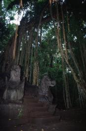 Bali05
