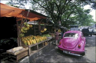 Bogor40