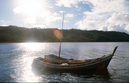 Weh08