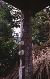 Sumatra02