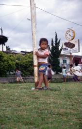 Sumatra13